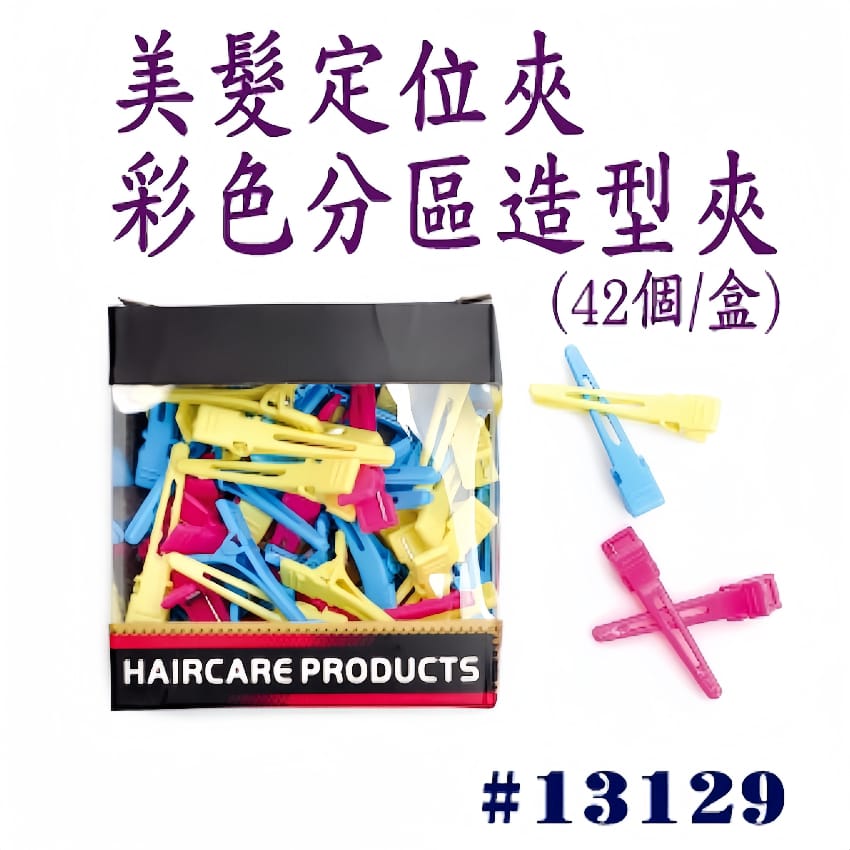 定位分區造型夾 （42個/盒）