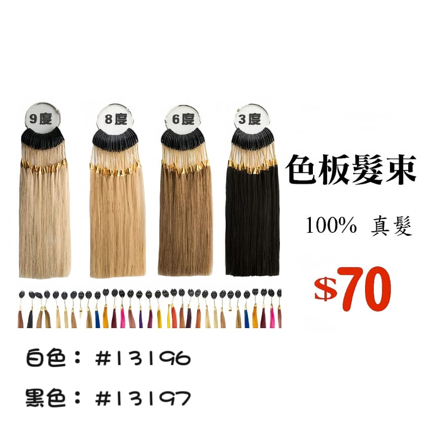 色板髮束